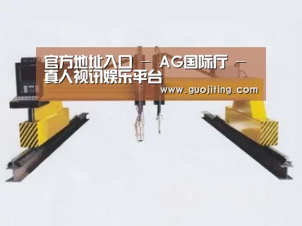 产品名称十七