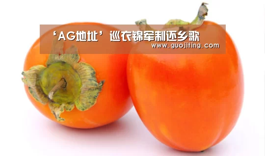 ‘AG地址’巡衣锦军制还乡歌(图3) AG娱乐