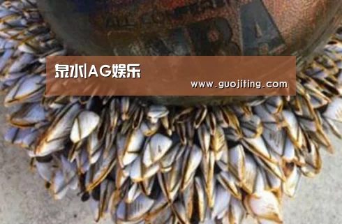 泉水|AG娱乐(图1) AG国际厅