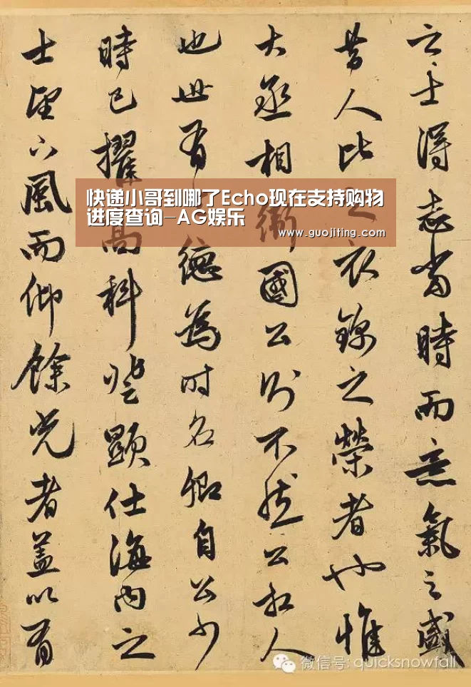 快递小哥到哪了Echo现在支持购物进度查询-AG娱乐(图1) AG视讯