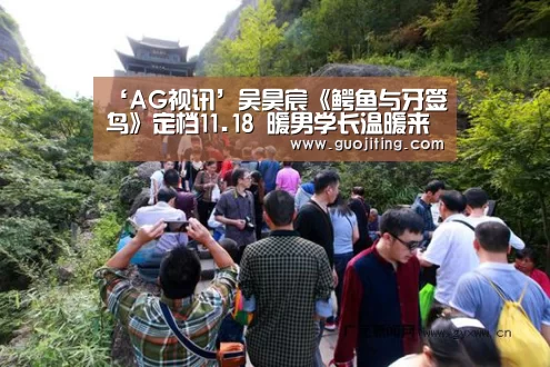 ‘AG视讯’吴昊宸《鳄鱼与牙签鸟》定档11.18 暖男学长温暖来袭(图1) AG地址