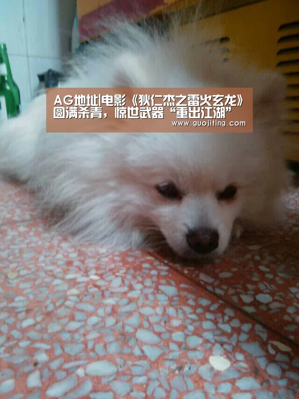 AG地址|电影《狄仁杰之雷火玄龙》圆满杀青,惊世武器“重出江湖”(图2) AG国际厅