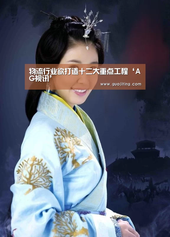 物流行业欲打造十二大重点工程‘AG视讯’(图3) AG视讯